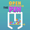 Open the Pin